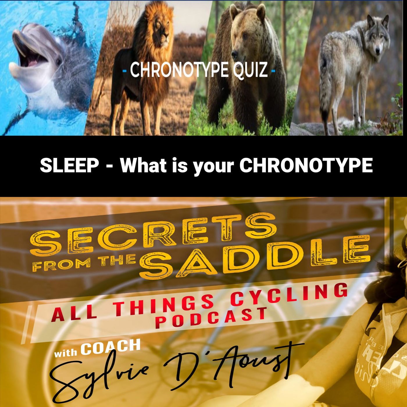 Secrets From The Saddle: All things Cycling PODCAST