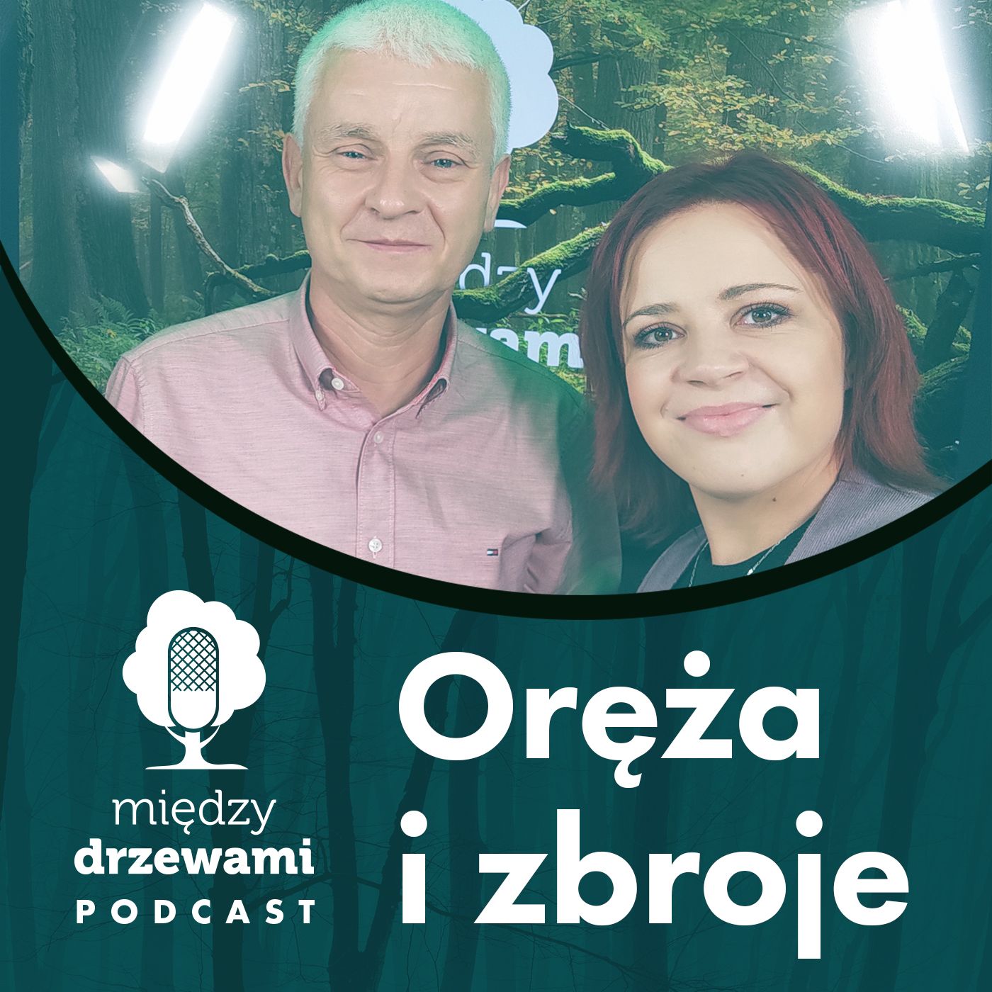 Między Drzewami #83 Oręża i zbroje. O mechanizmach obronnych owadów [dr hab. Tomasz Mokrzycki] episode artwork