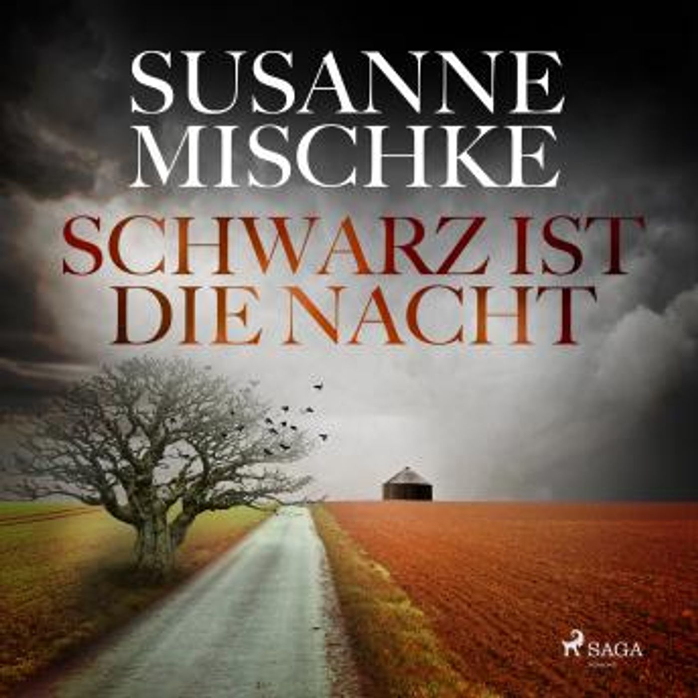 [German] - Schwarz ist die Nacht by Susanne Mischke episode artwork