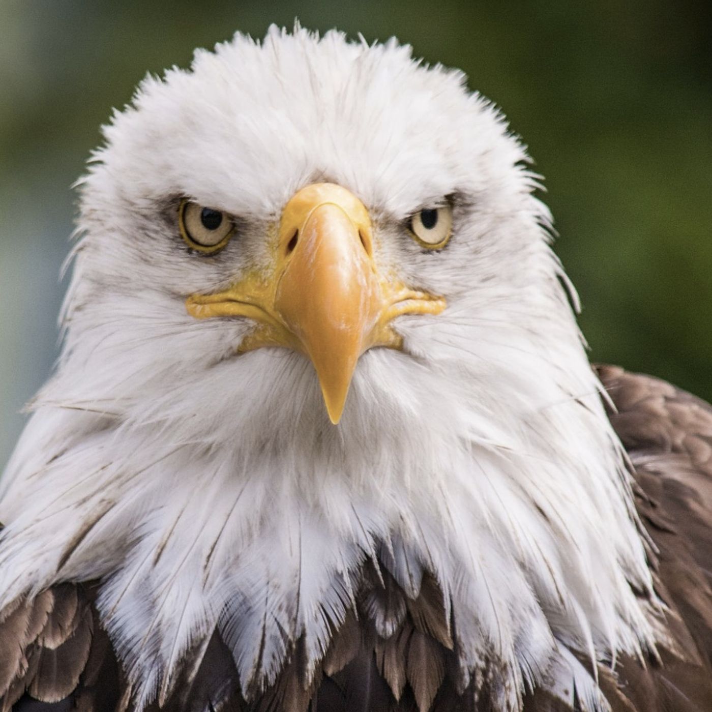 Bill Ebert\'s tracks