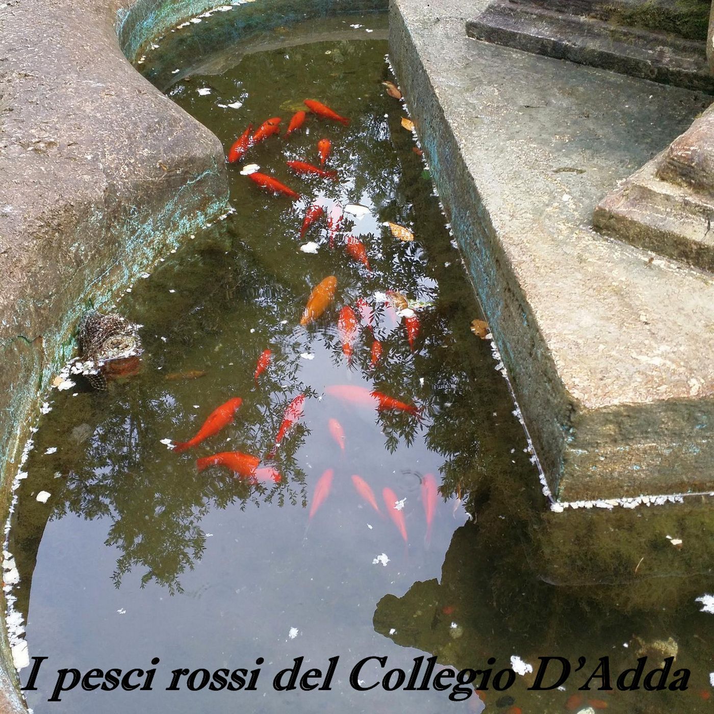 Frammenti di Storia