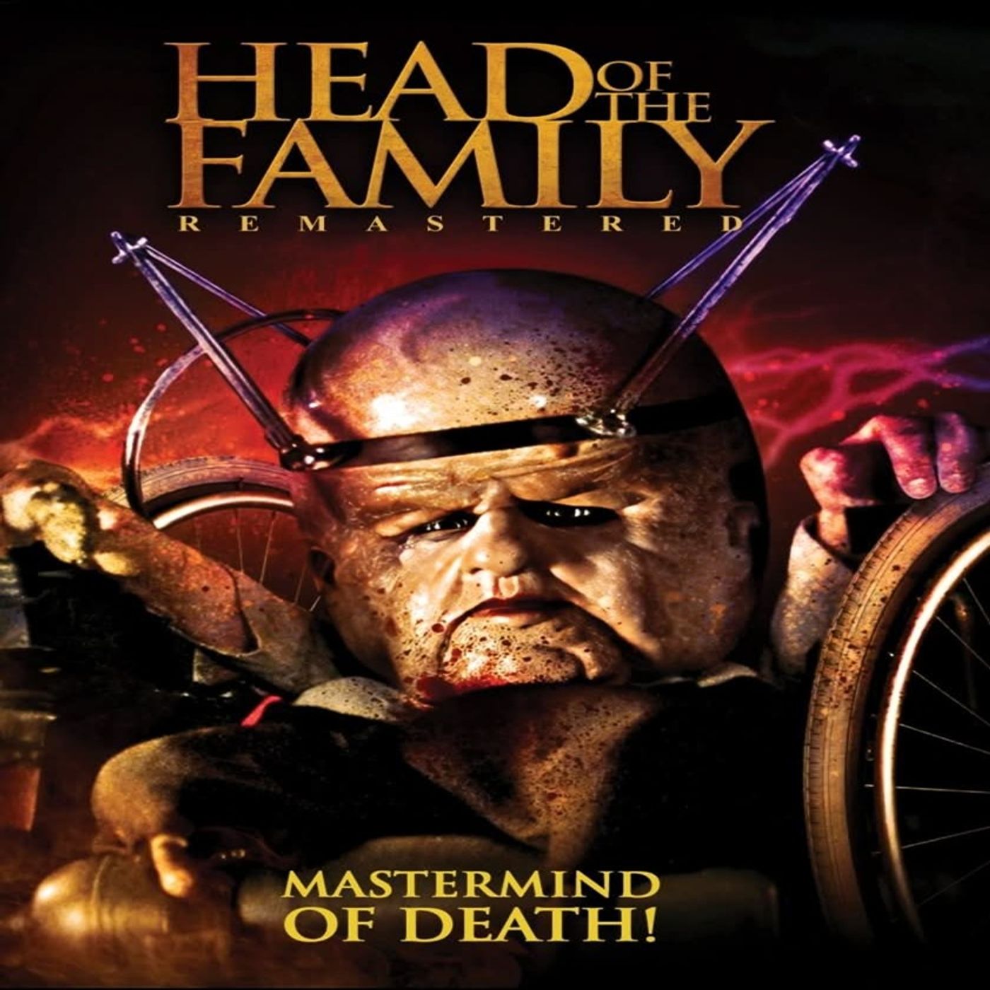 Head of the Family