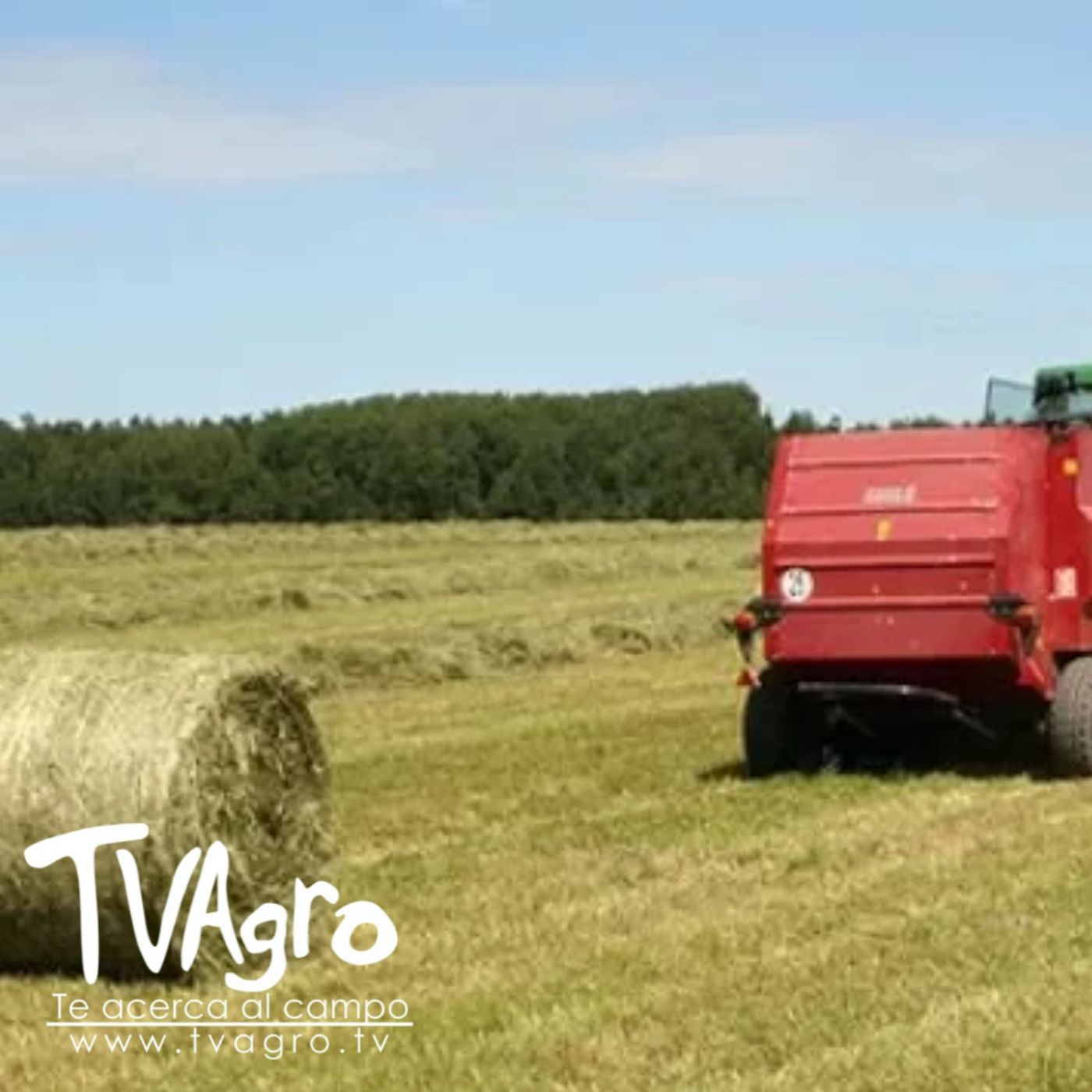 TV AGRO