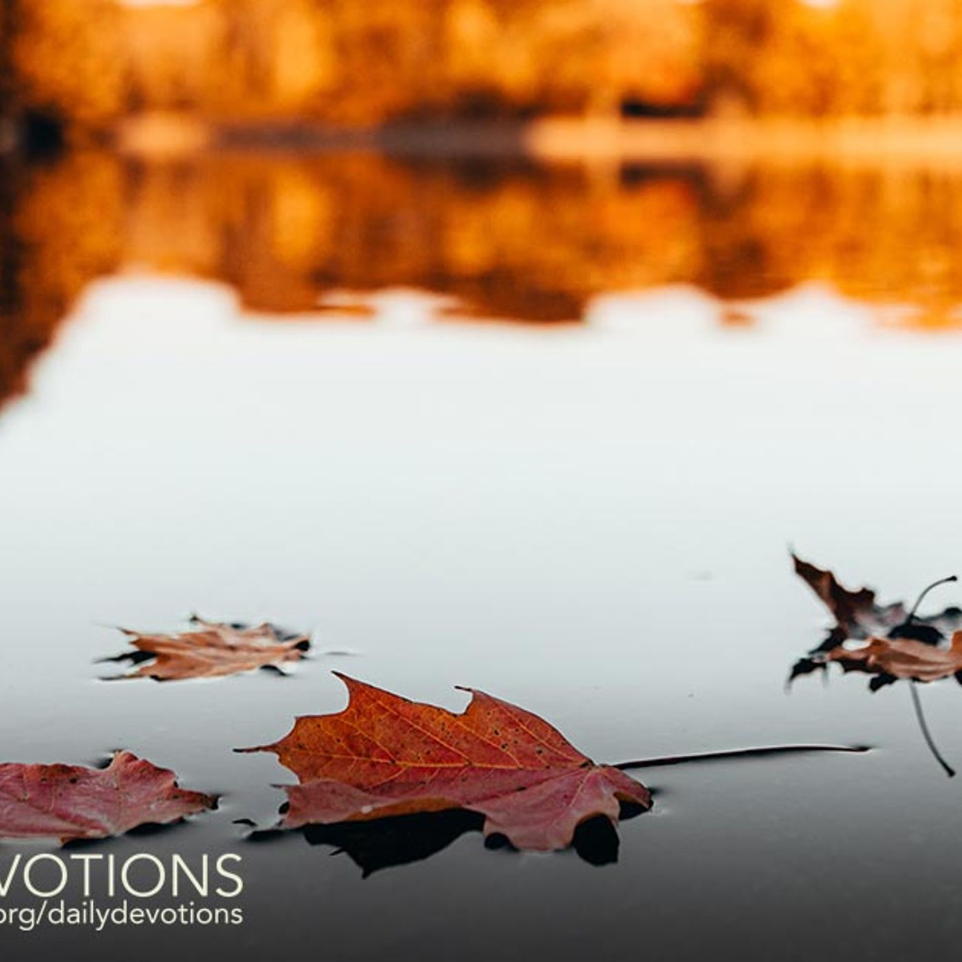 There Is Forgiveness