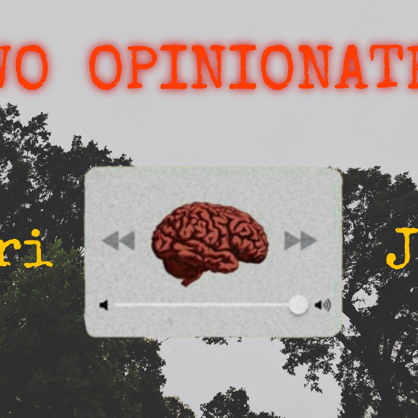 Two Opinionated podcast artwork
