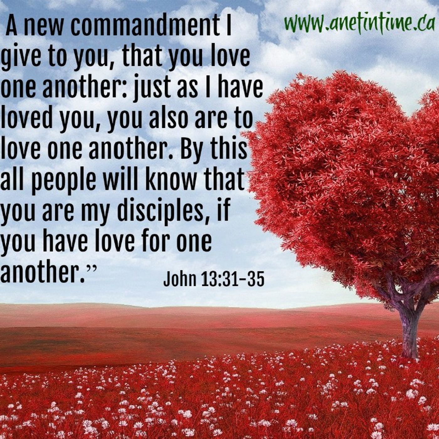 WE MUST WALK IN LOVE NO MATTER DIFFERENCES IN BELIEFS!! YAHWEH WILL CLEAR ALL CONFUSION!!FUCK SATAN! episode artwork