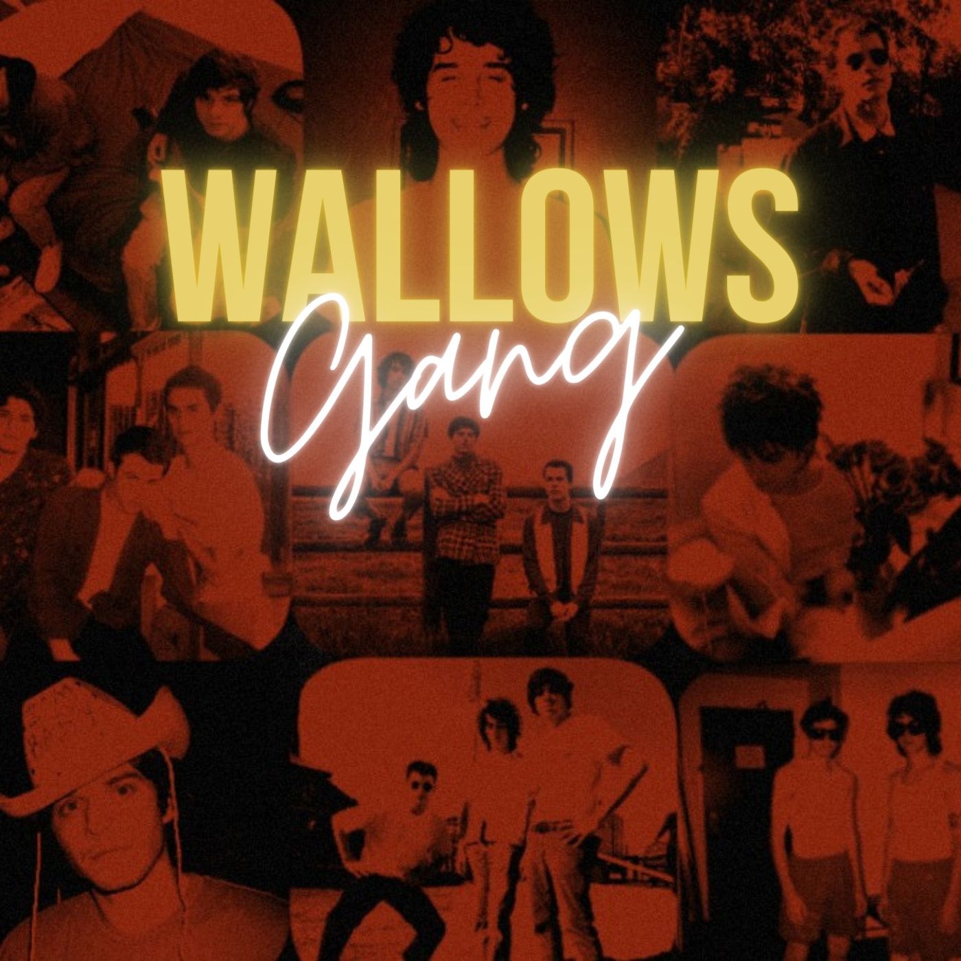 Wallows Gang