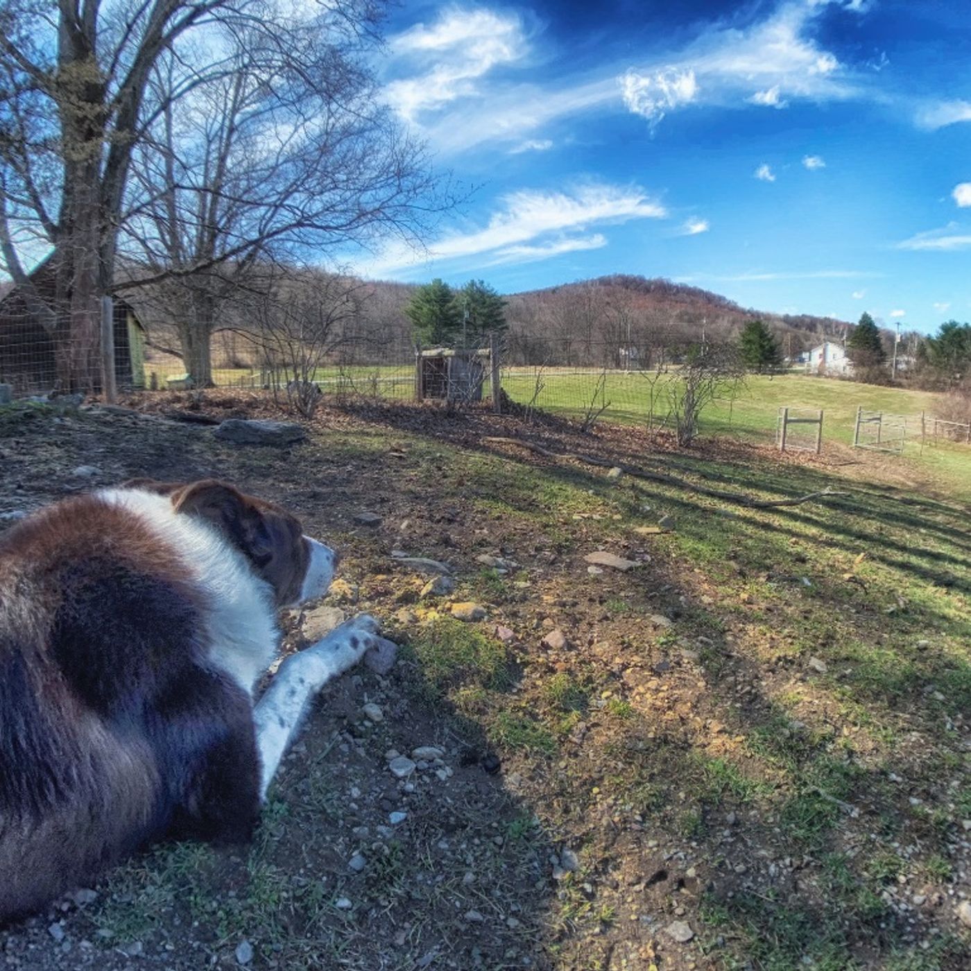 Katz and Wulf on Bedlam Farm