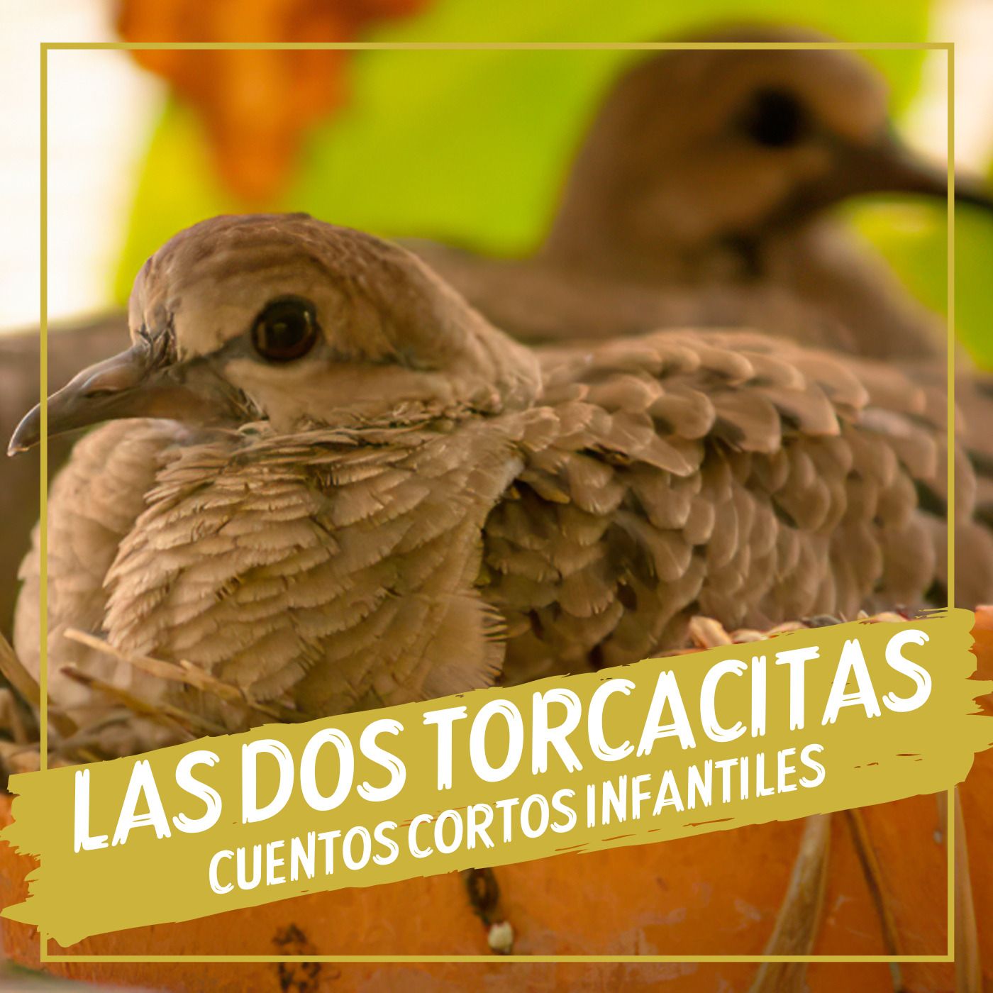 Historias y Cuentos
