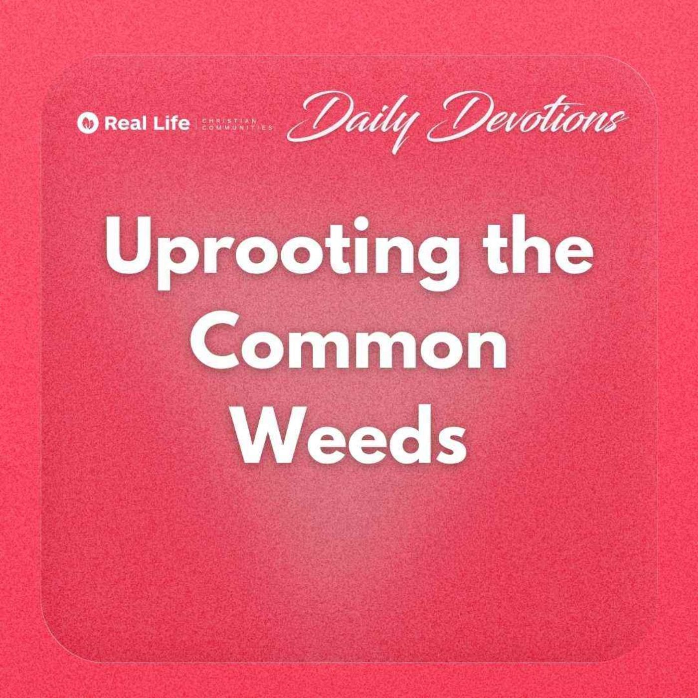 Uprooting the Common Weeds | Pastor Bong Baylon