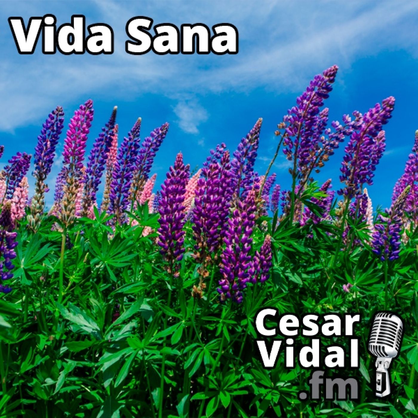 La Voz de César Vidal