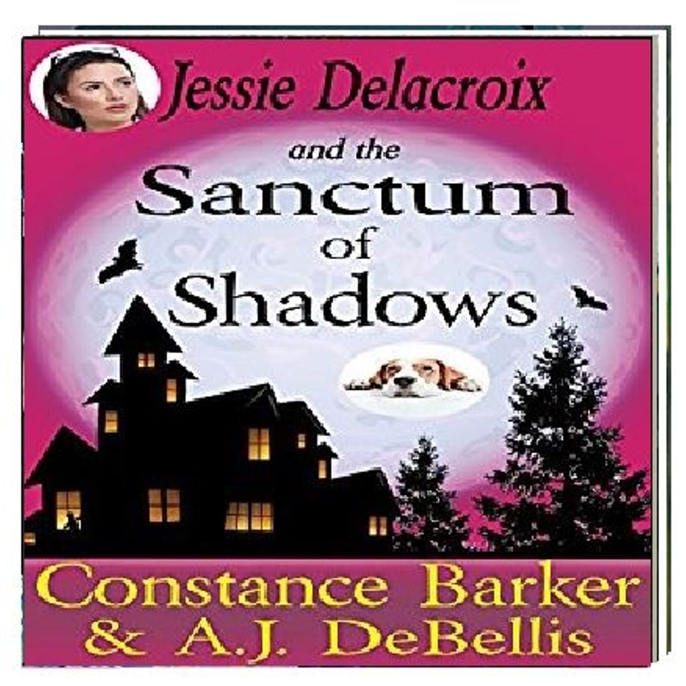 Angel\'s Audio Book Adventures