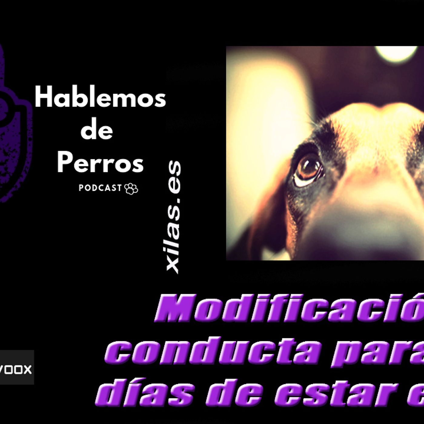 Hablemos de perros