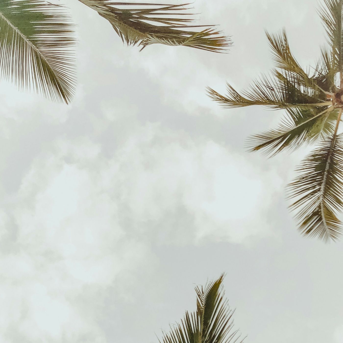 Diario de una estudiante