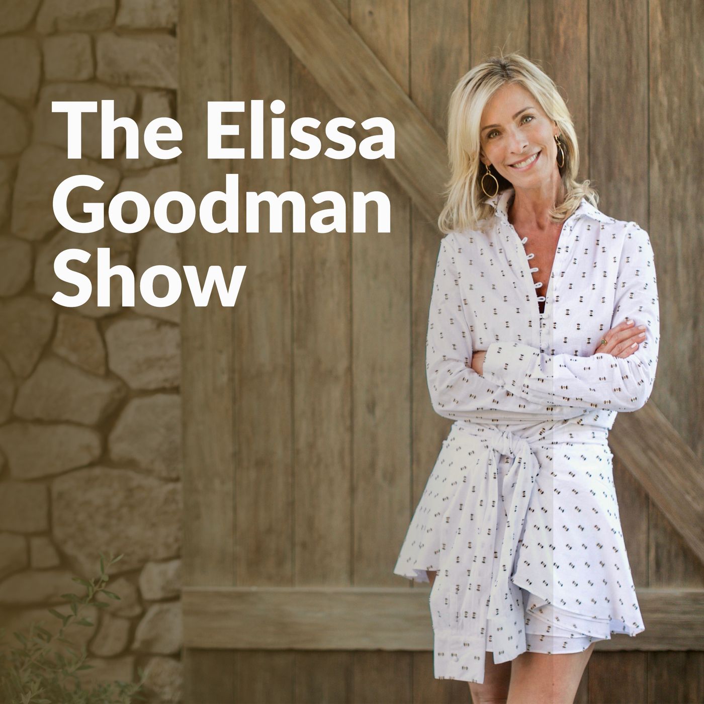 THE ELISSA GOODMAN SHOW