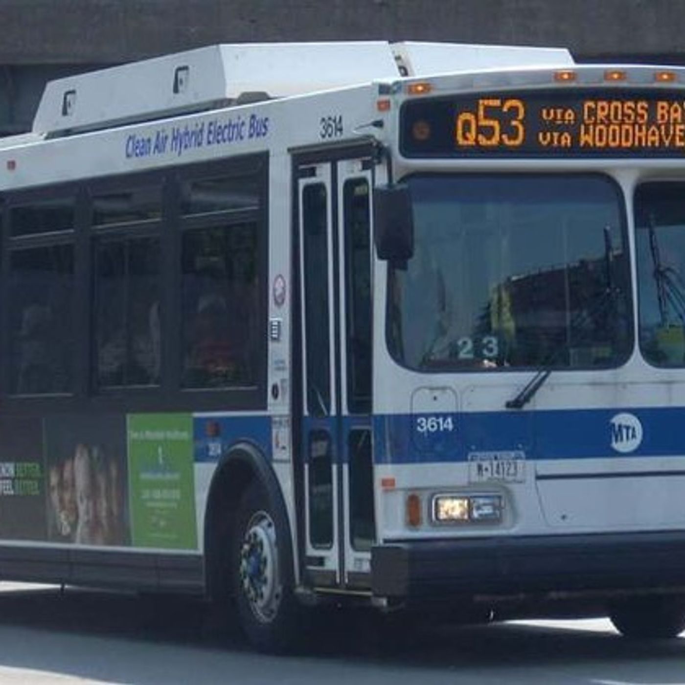 Highly Explicit Segment: 'I hate white people': Woman racially abused and BLUDGEONED on NYC bus in possible hate crime episode artwork
