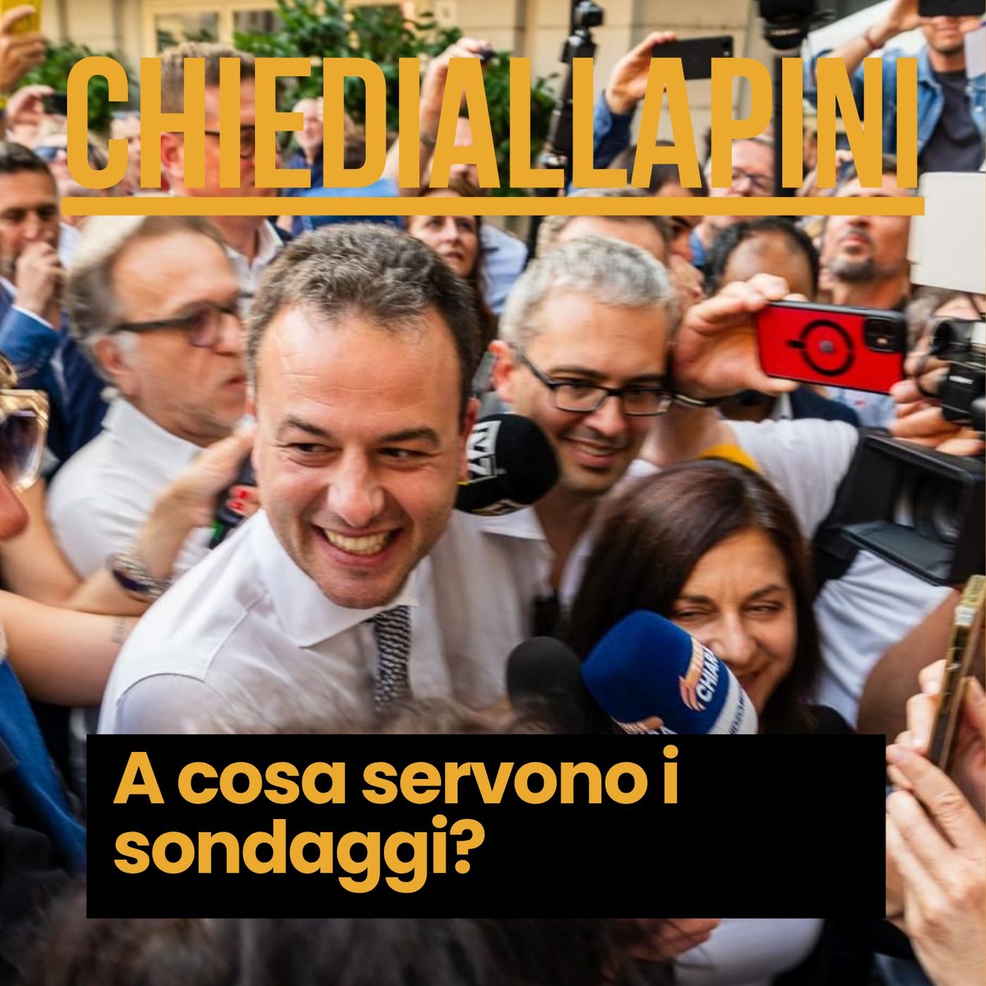 A cosa servono i sondaggi?