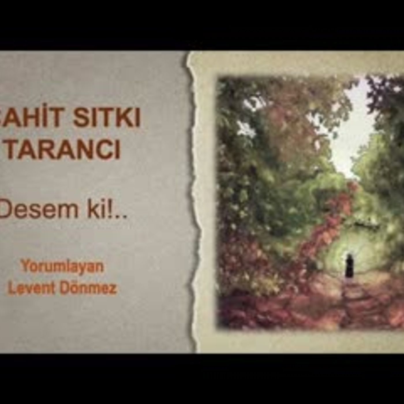 Cahit Sıtkı Tarancı - Desem ki