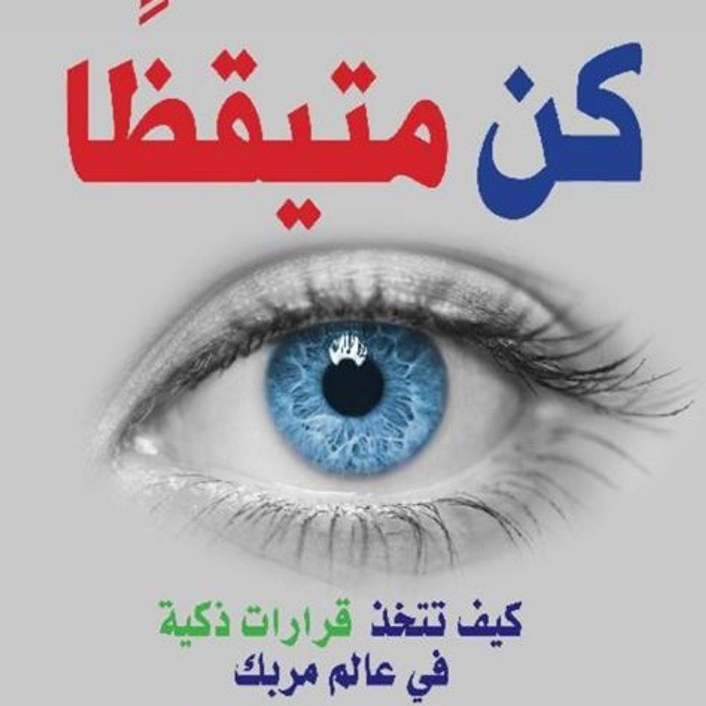 كن متيقظا: كيف تتخذ قرارات ذكية في عالم مربك كن متيقظا: كيف تتخذ قرارات ذكية في عالم مربك