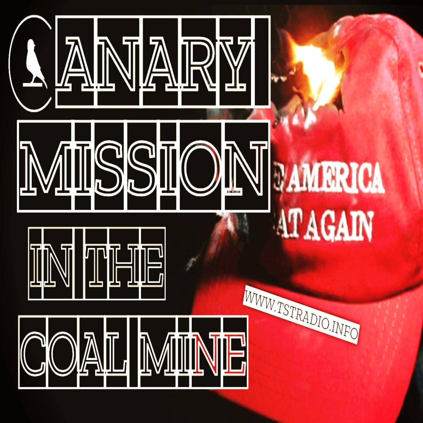 Canary Mission in the Coal Mine (4/1/25)