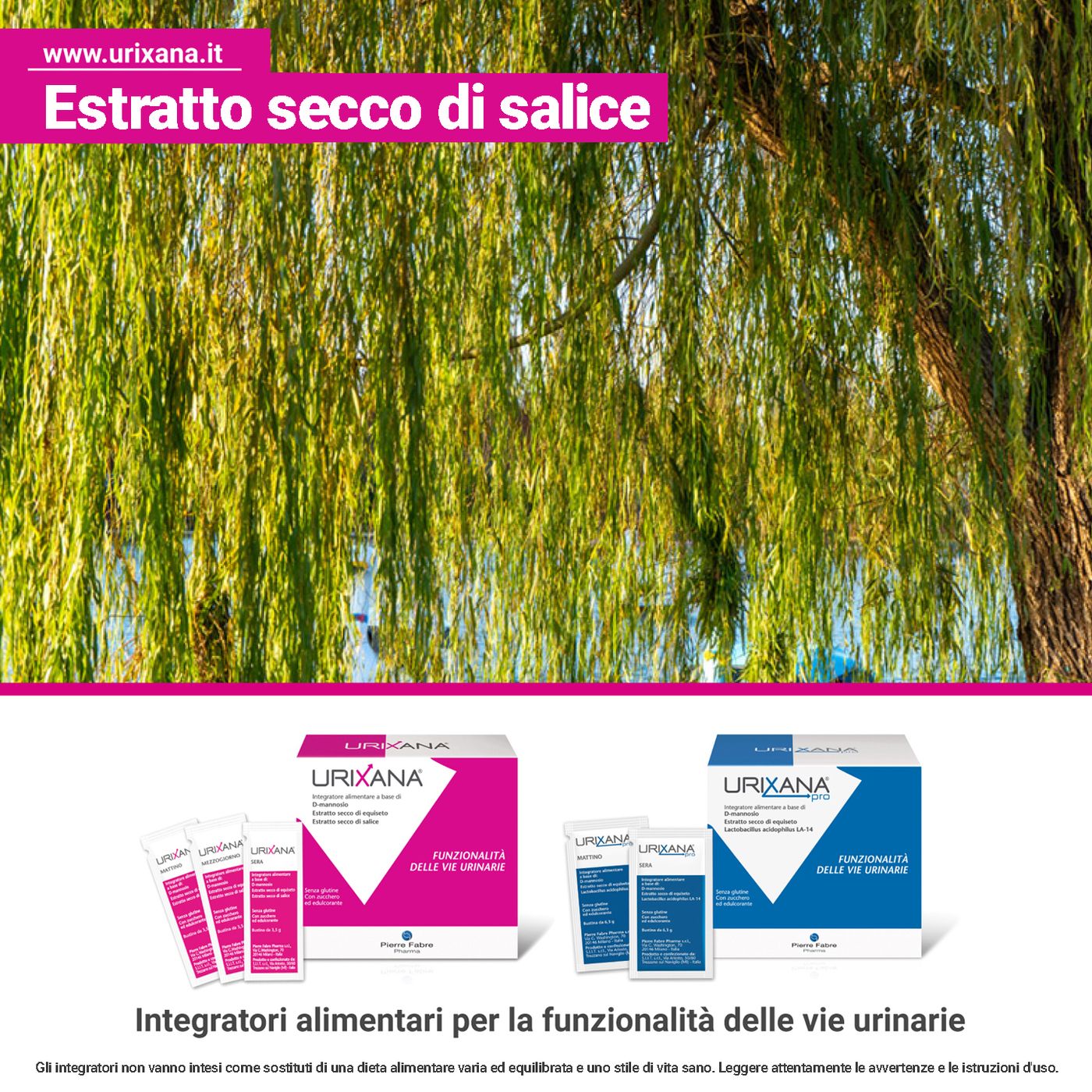 Estratto secco di salice episode artwork