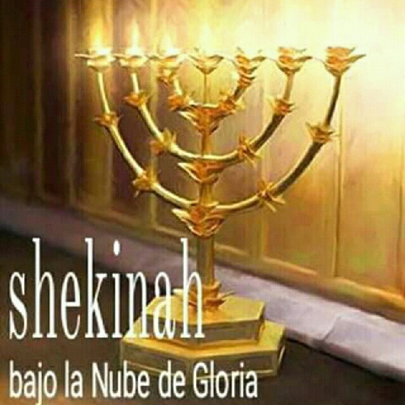 Radio Web Shekinah Jireh