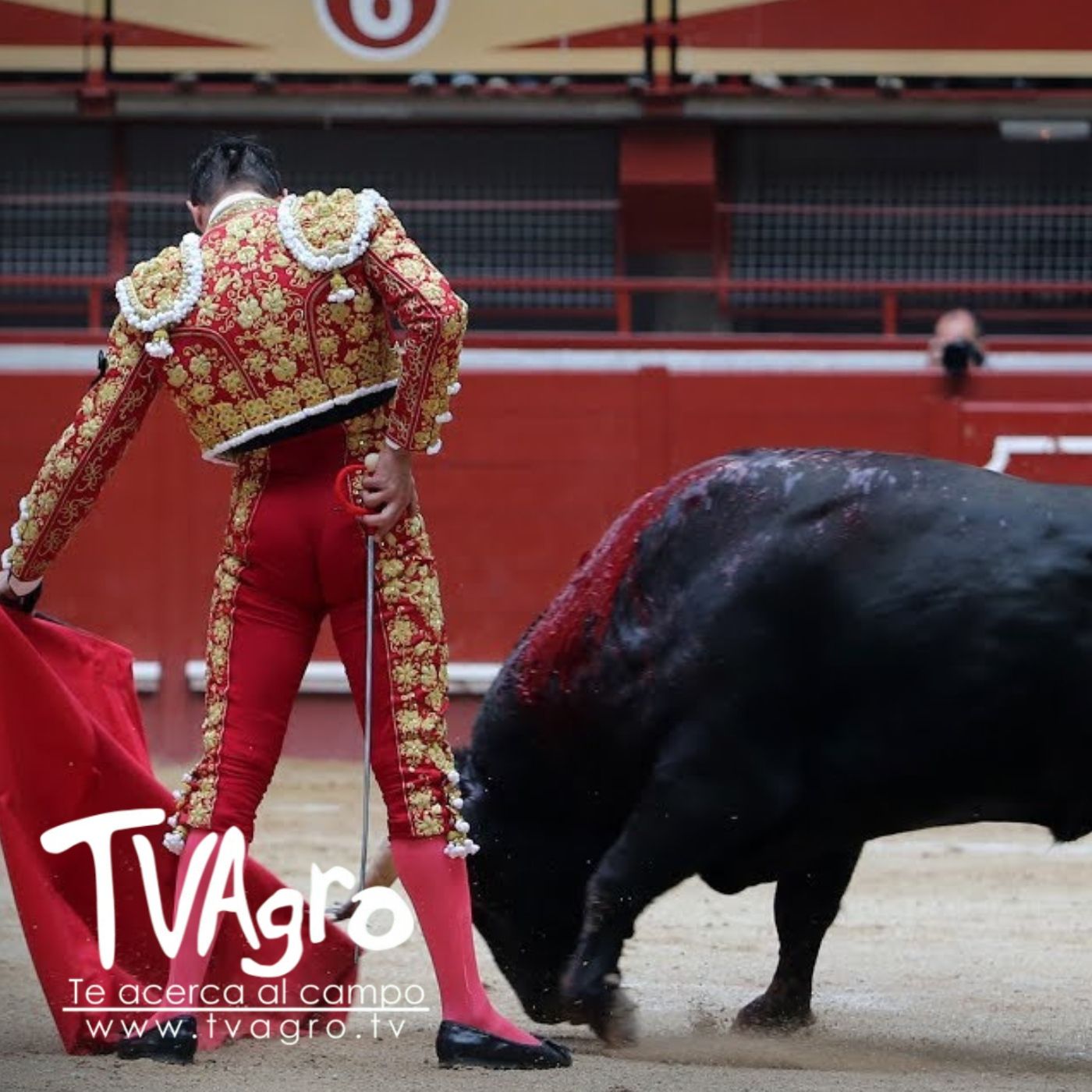 TV AGRO