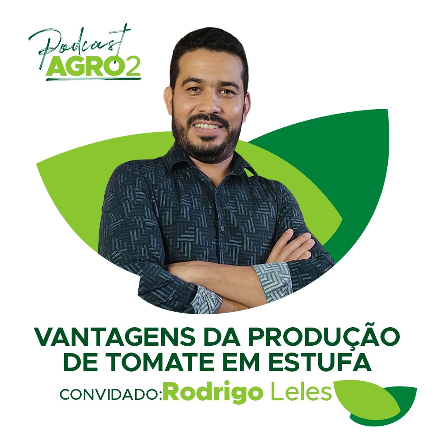 Como fazer o cultivo protegido de tomate? Entenda com Rodrigo Leles da Esmero Alimentos  #129 episode artwork