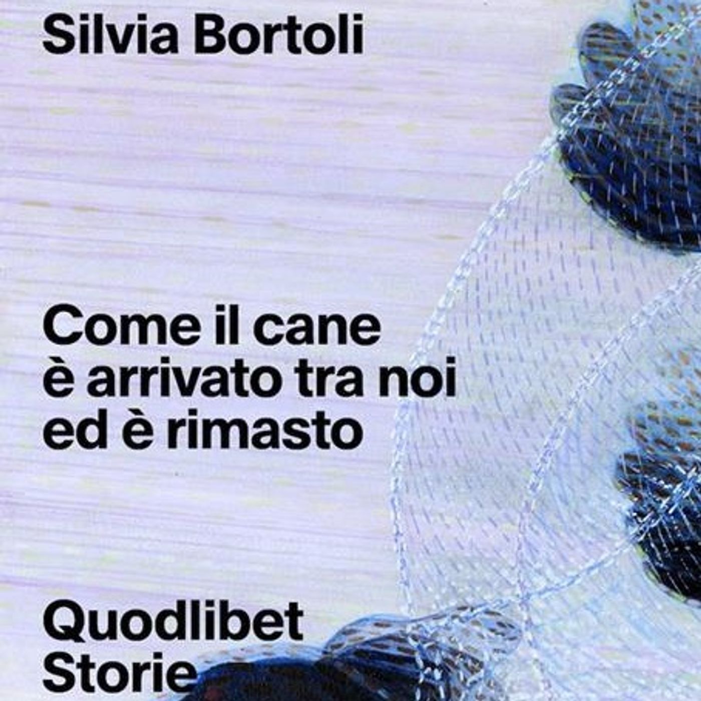 Silvia Bortoli "Come il cane è arrivato tra noi ed è rimasto" episode artwork