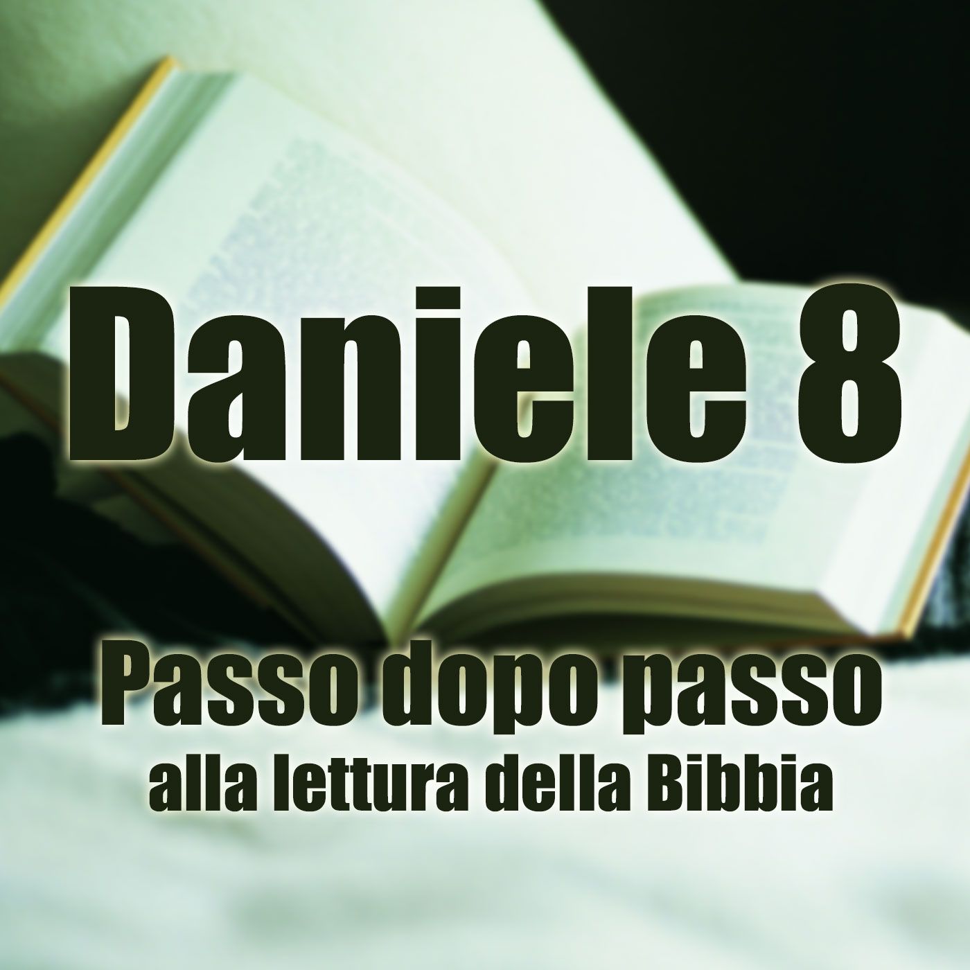 Passo dopo passo alla lettura della Bibbia