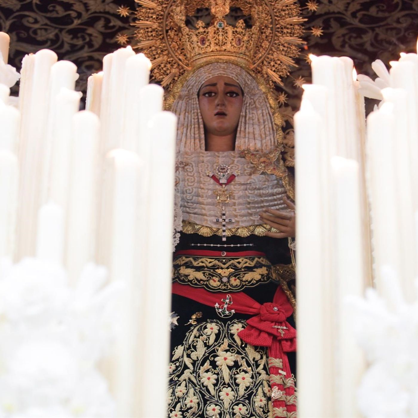 La Biblioteca de Elia: Los nombres de la Virgen por Tina Walls episode artwork