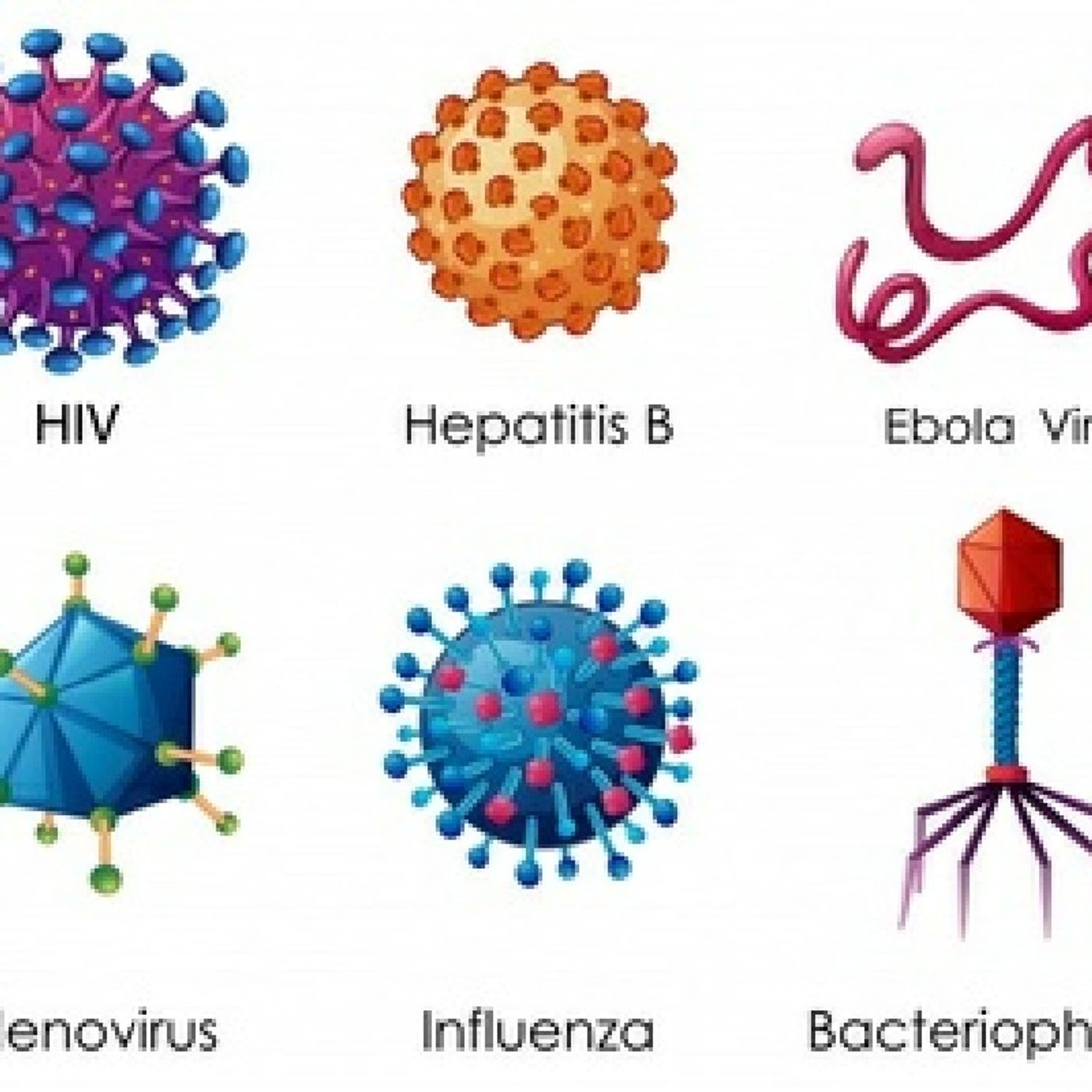 Virologi af Simone Bøgelund