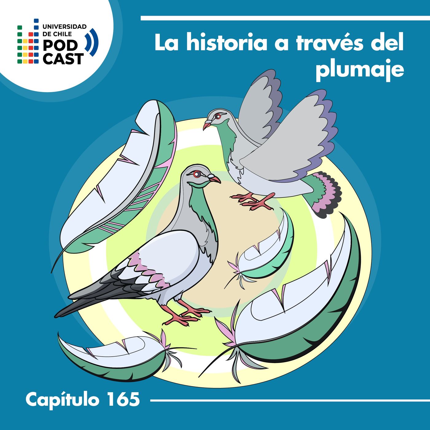 La historia a través del plumaje