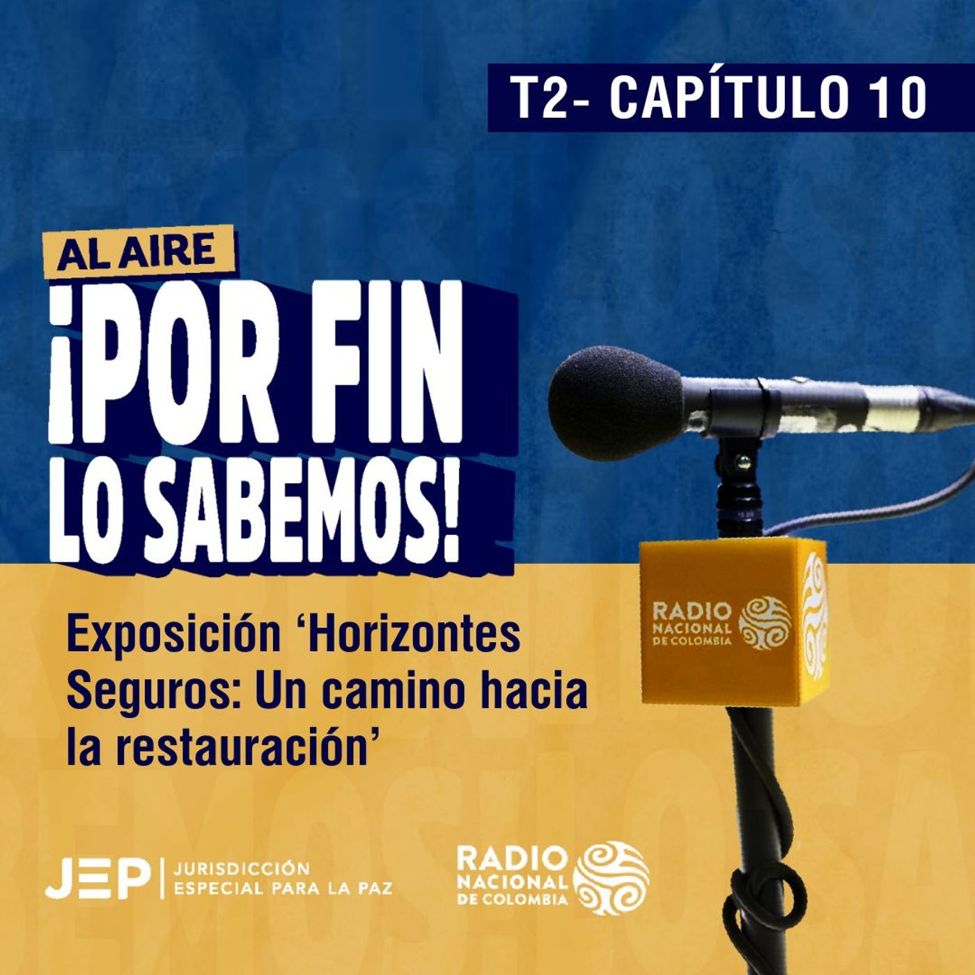 Capítulo 10 | Emisión especial: Exposición 'Horizontes Seguros: Un camino hacia la restauración' episode artwork
