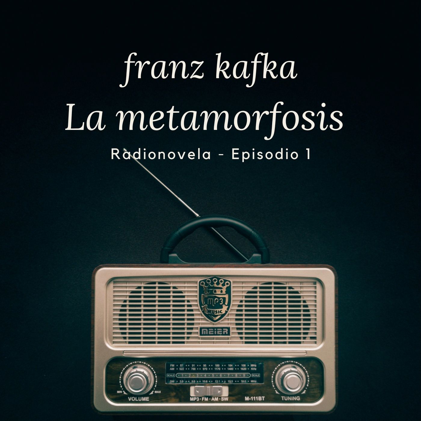 Radionovela - La Metamorfosis de Franz Kafka