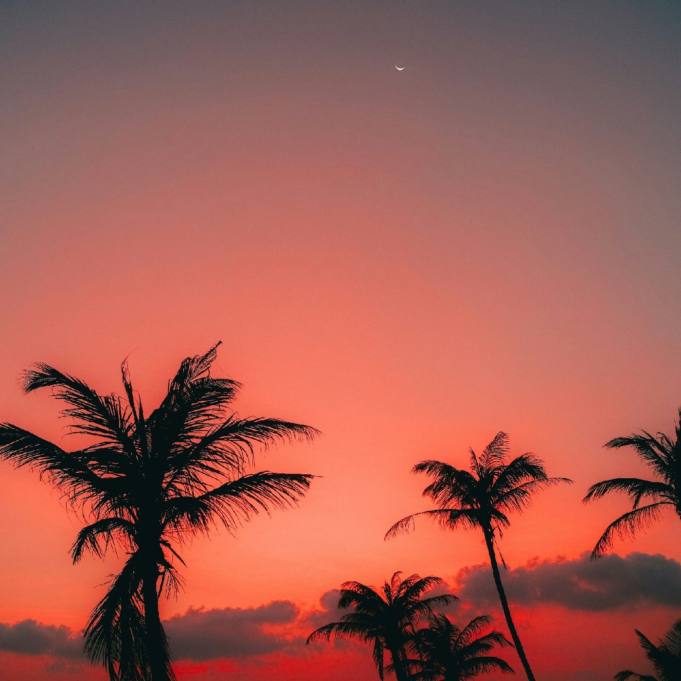 Respira bien cover art