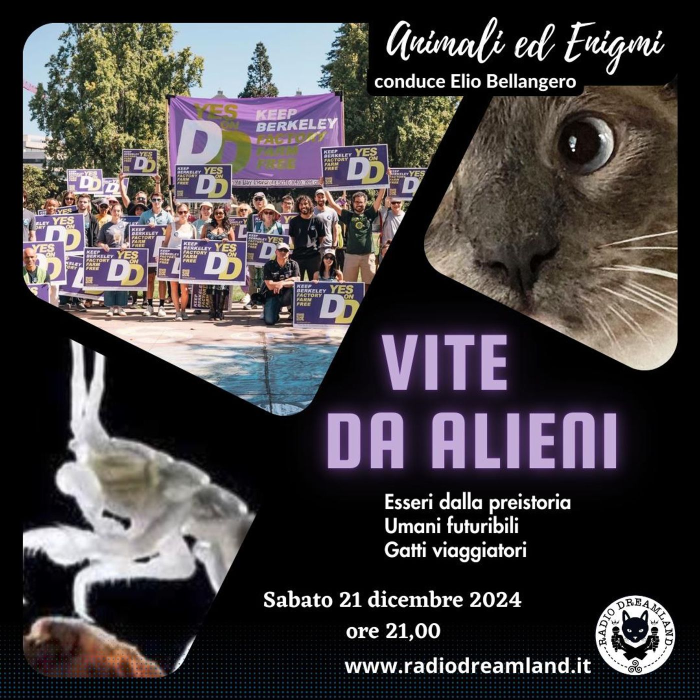 Vite da Alieni episode artwork