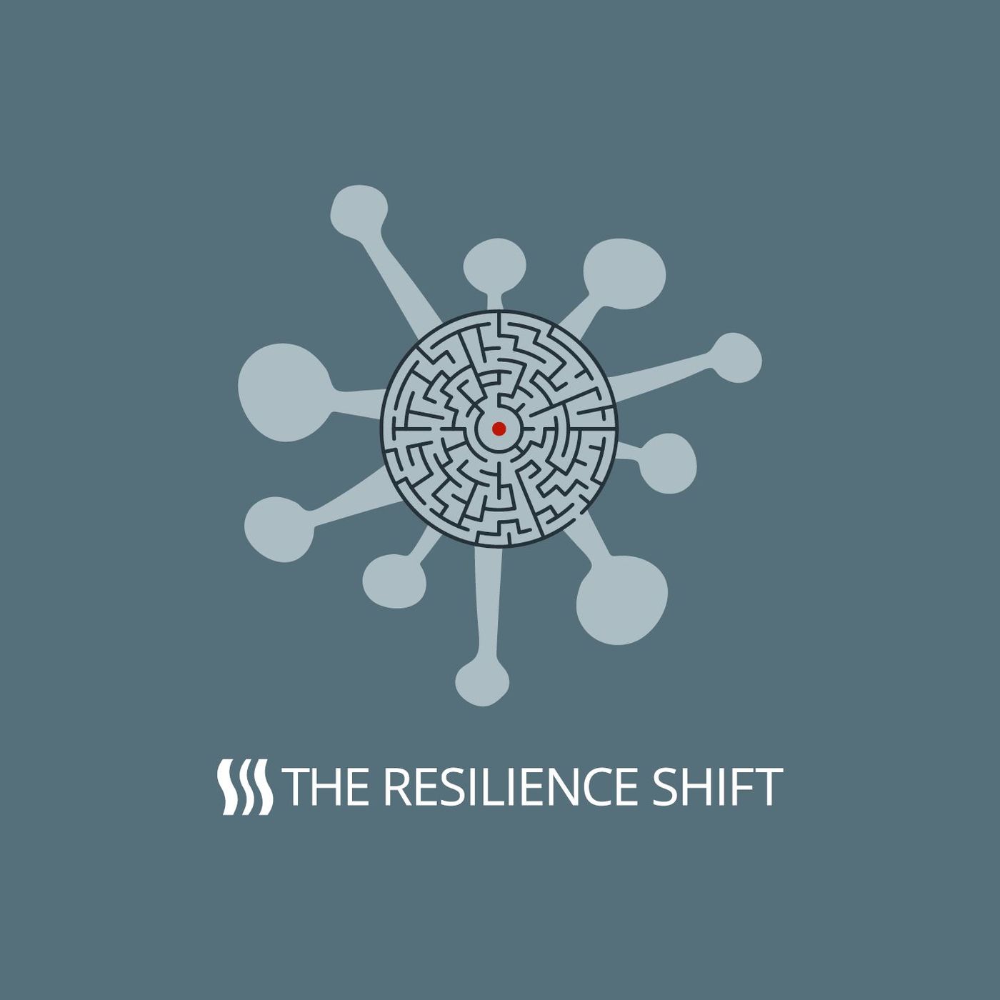 Resilient Leadership - Learning From Crisis
