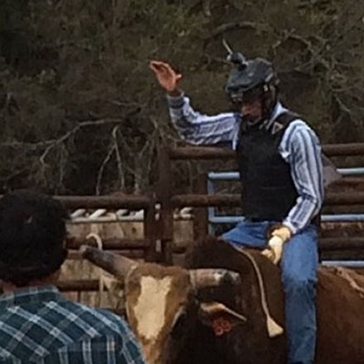 Mark It Off: Bull Riding episode artwork