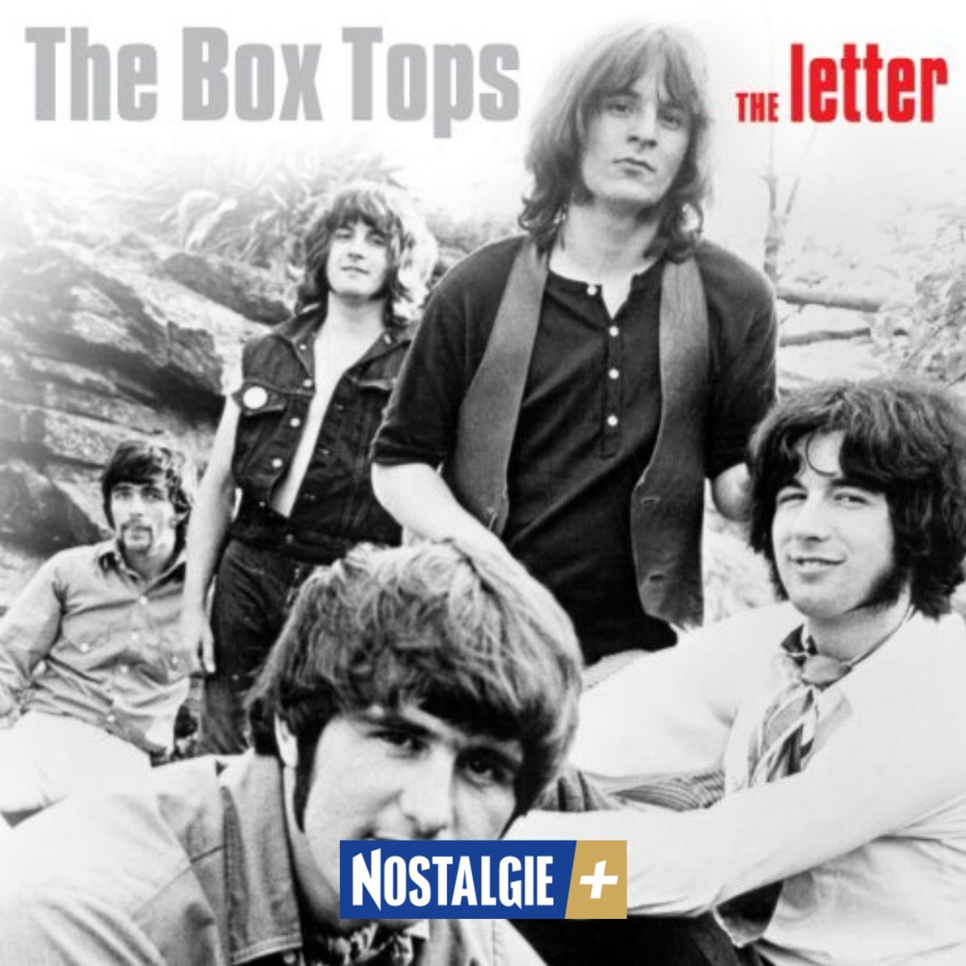 The Box Tops : “The Letter”, le tube express de l’été 67 episode artwork