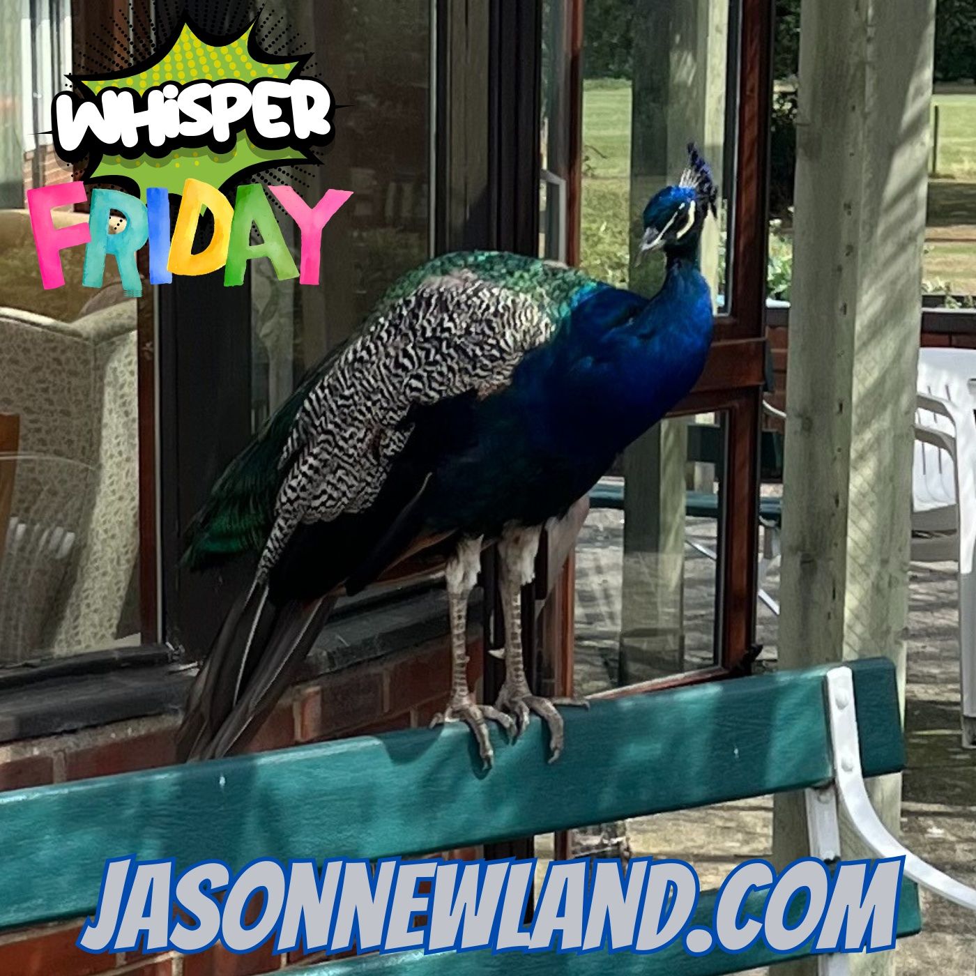 (music) (10 hours) Whisper Friday | LMBYTS #1401 | Jason Newland | 1st August 2025