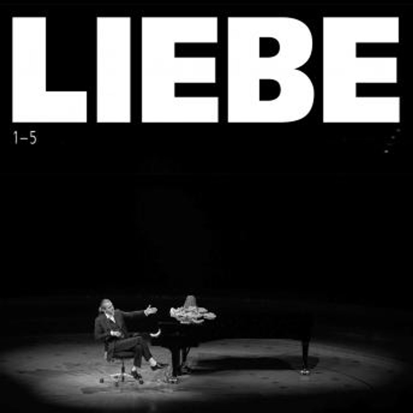 [German] - Hagen Rether, Liebe - Die Box (1-5) by Hagen Rether episode artwork