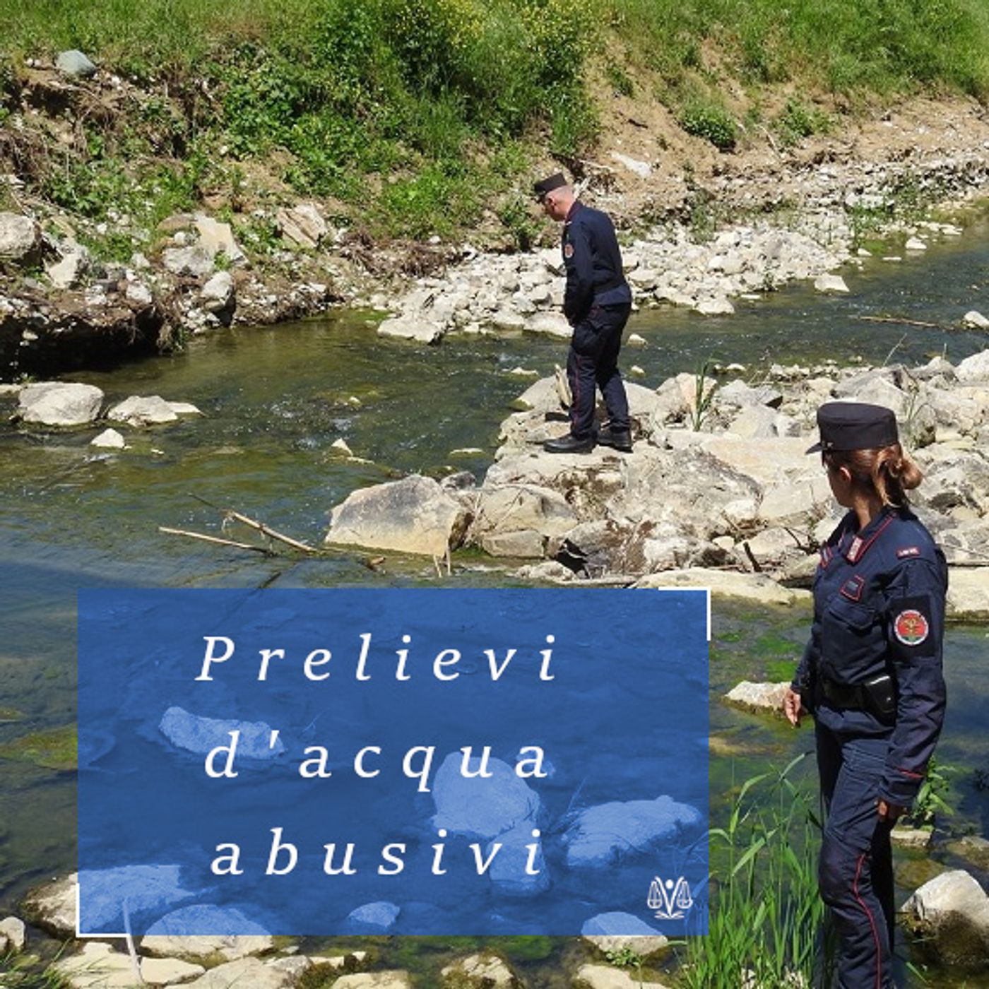 Avvocato di famiglia
