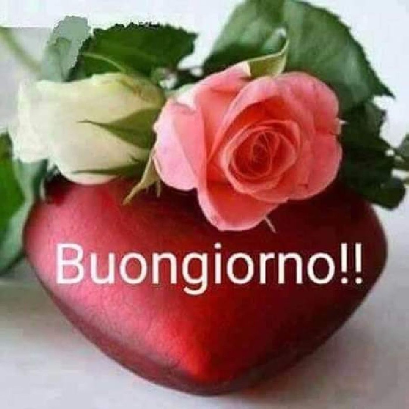 Lo show di Roberta Canu
