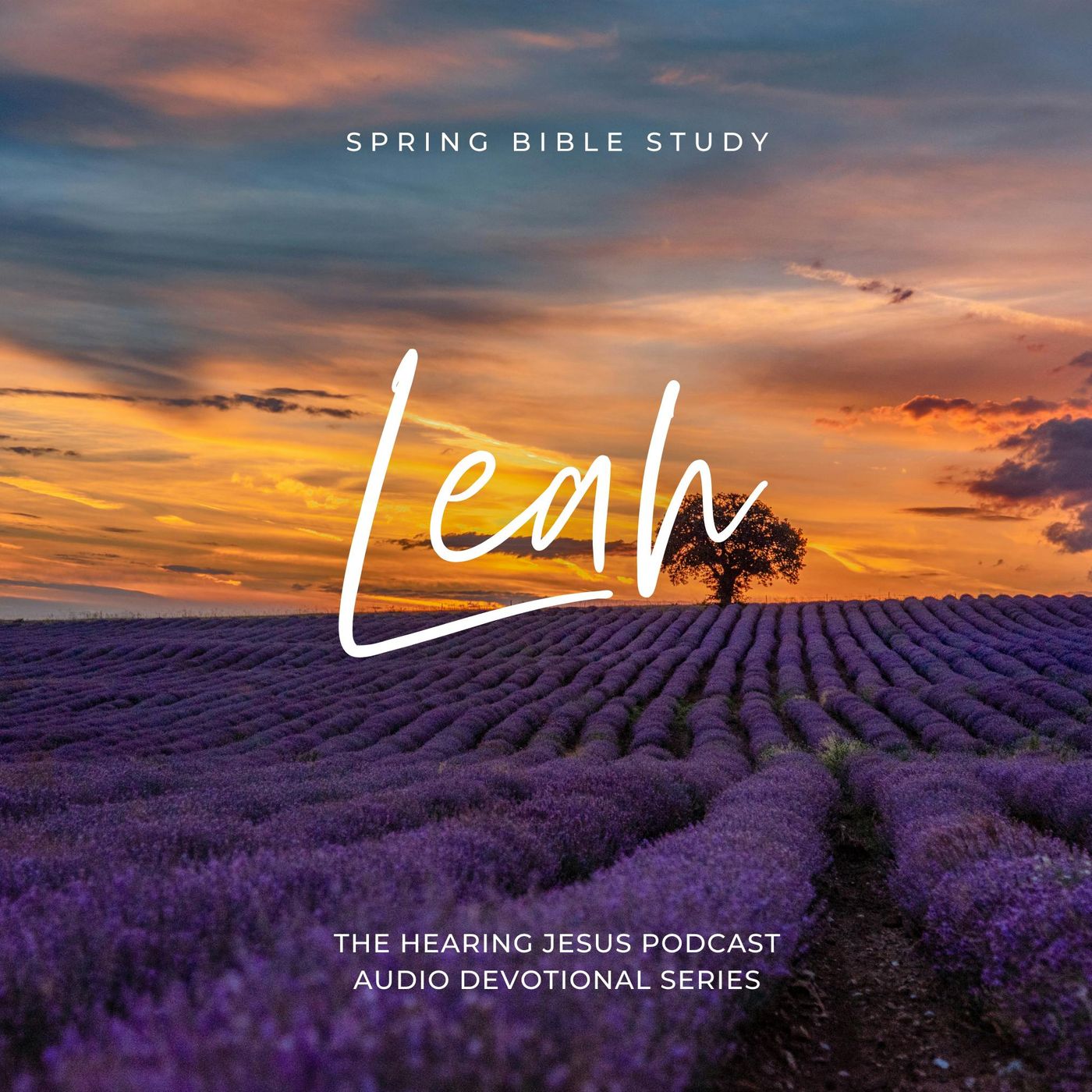 Hearing Jesus: Bible Study, Daily Devotional, Scripture, Faith, Hear from God, Bible, Devotions