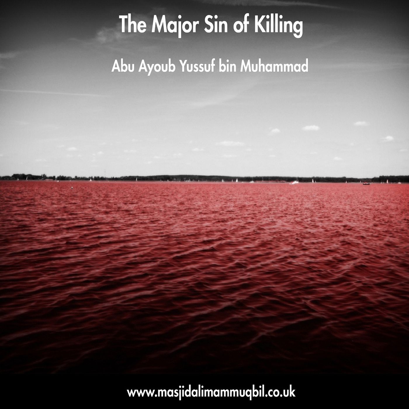 The Major Sin of Killing | Abu Ayoub Yussuf bin Muhammad episode artwork