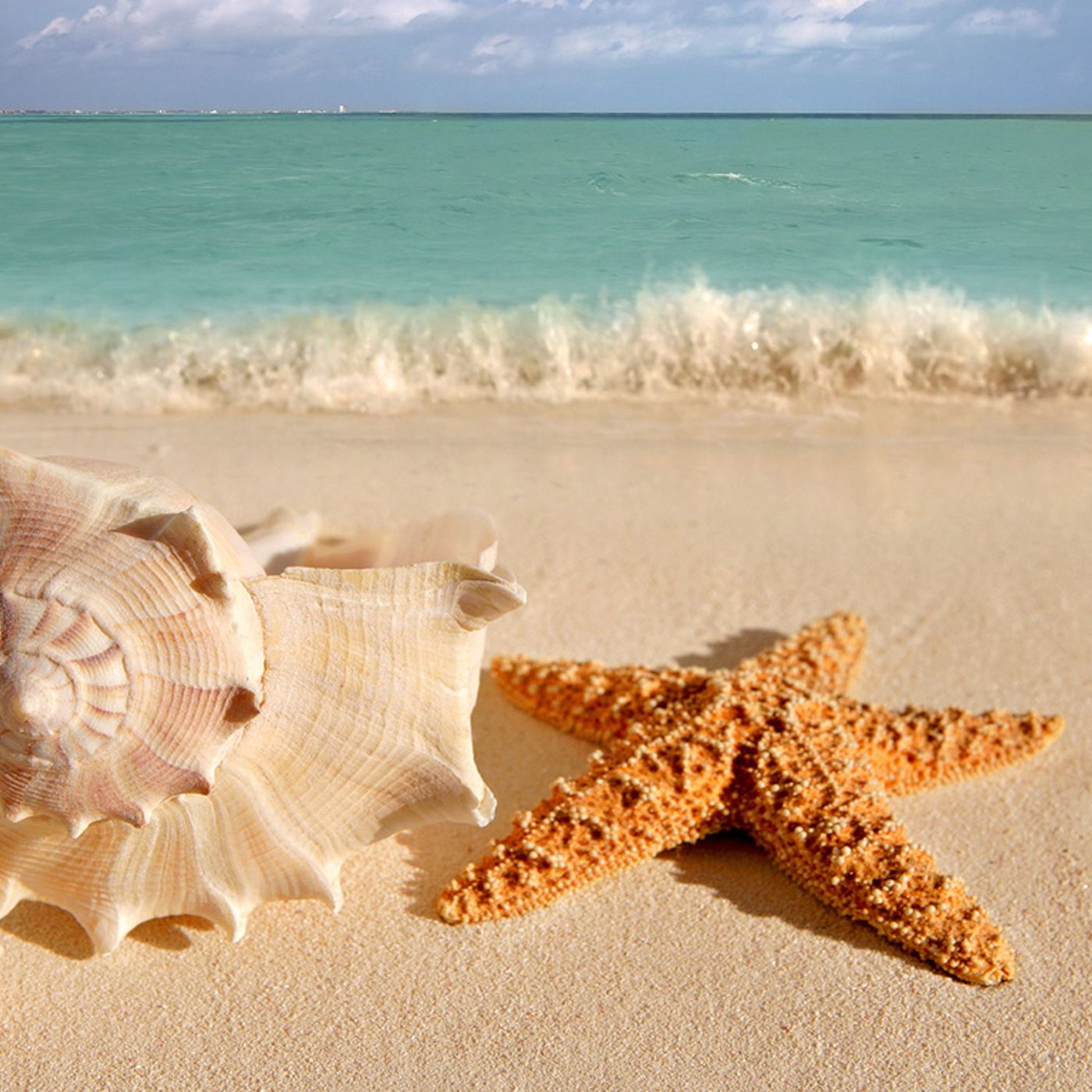 ESTIVA!!! La compilation per l'estate di MIO Italia ESTIVA!!! La compilation per l'estate di MIO Italia