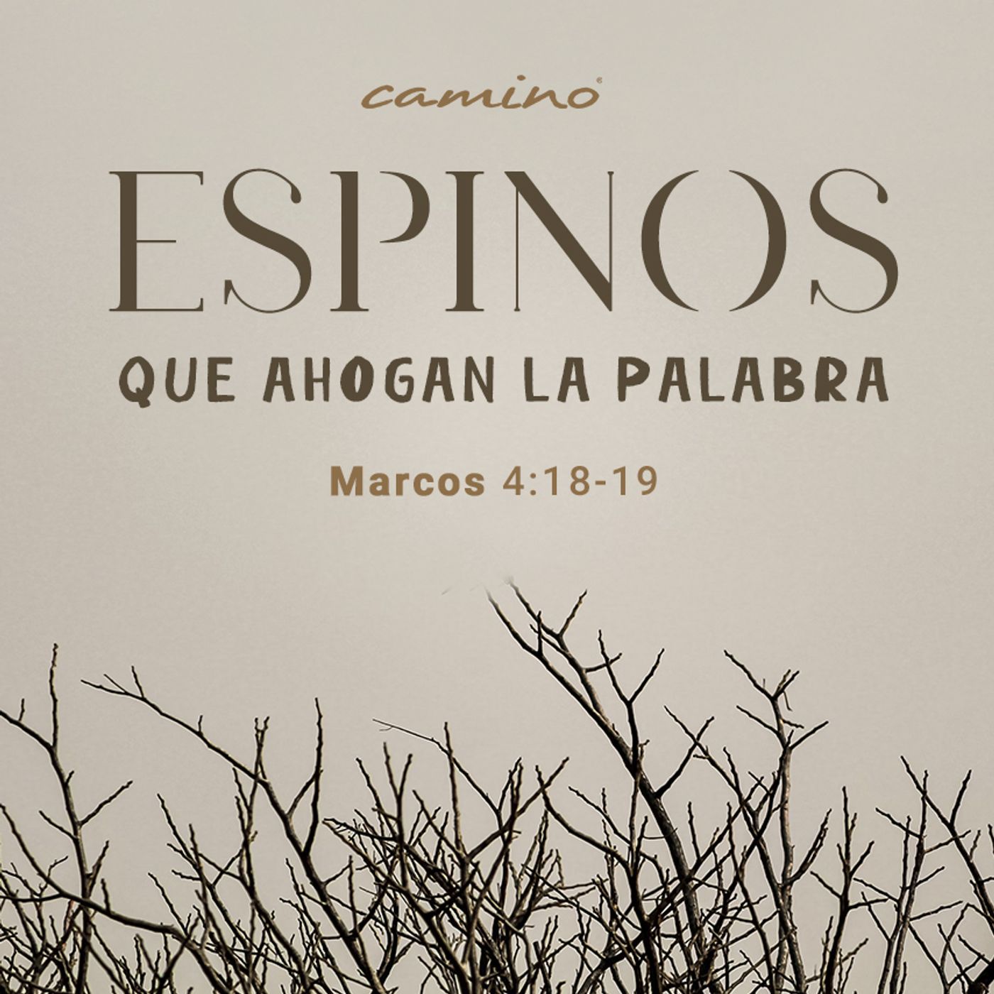 Oración 6 de junio (Espinos que ahogan la palabra) episode artwork