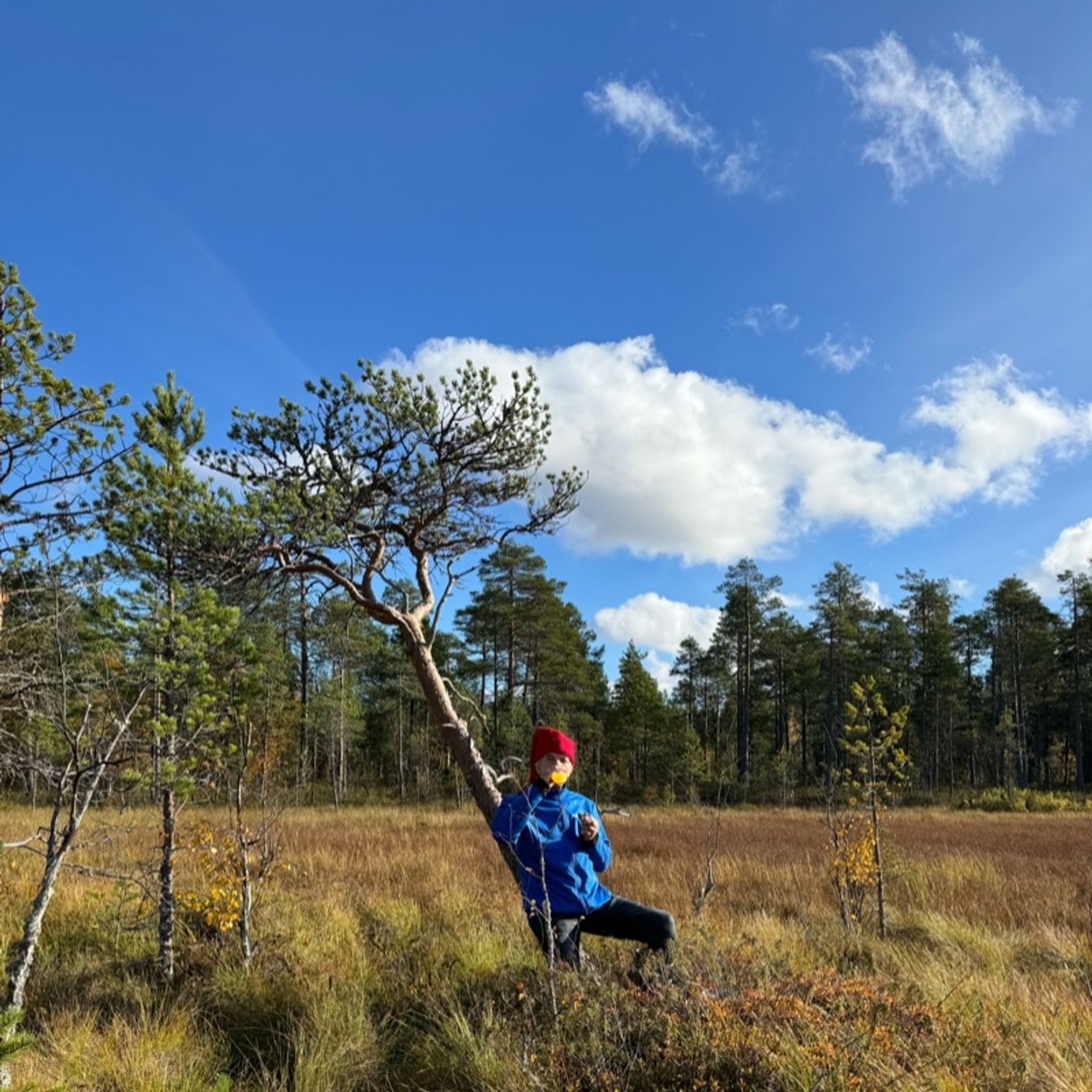 Suomenkielisiä podcasteja
