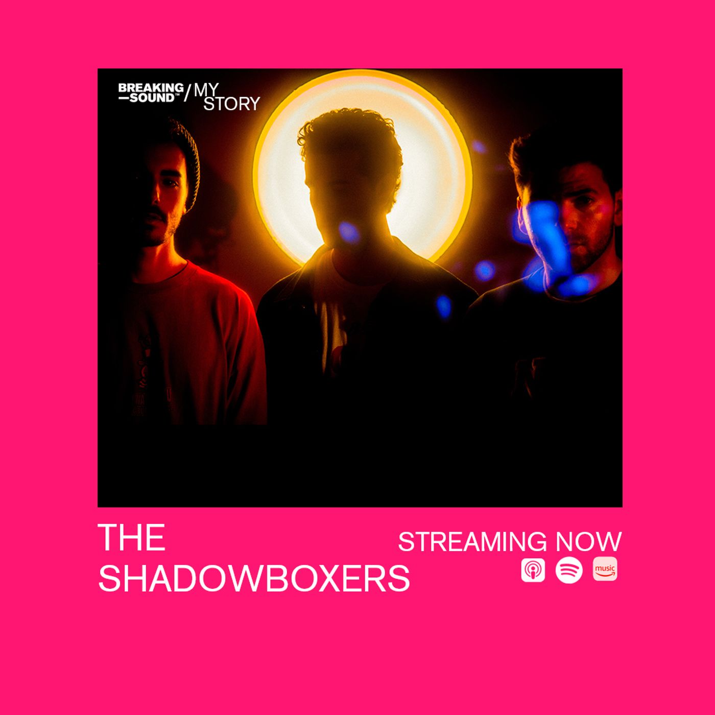 Episode 1. The Shadowboxers